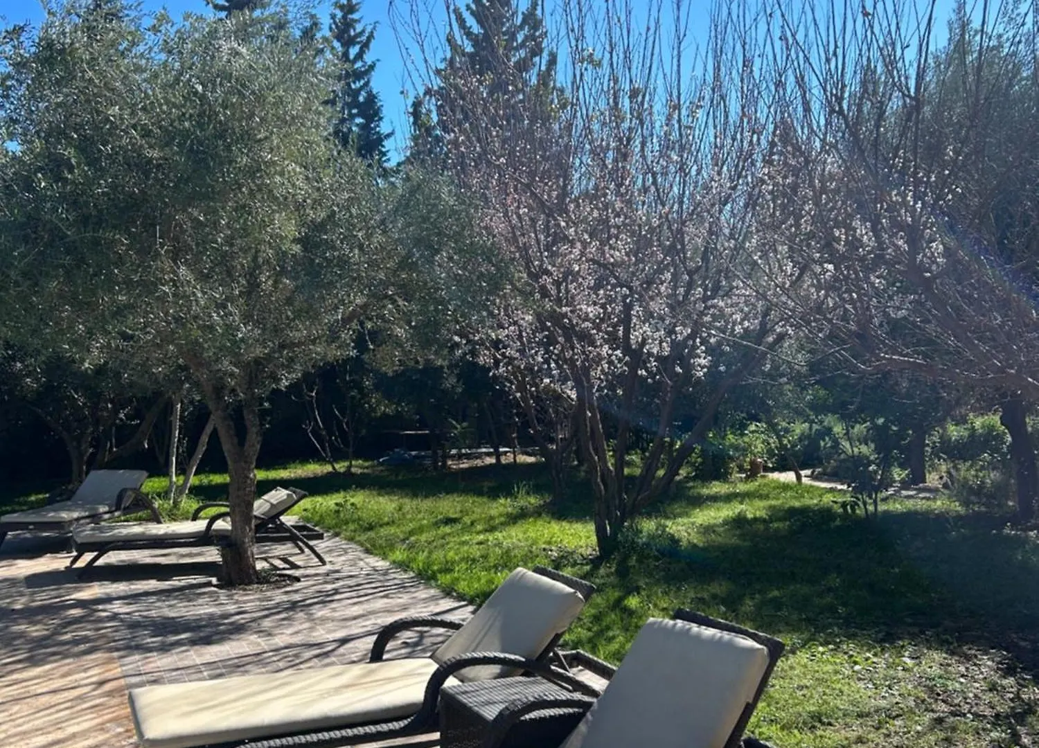 מרקש Villa Blanche Marrakech 0*,  מרוקו